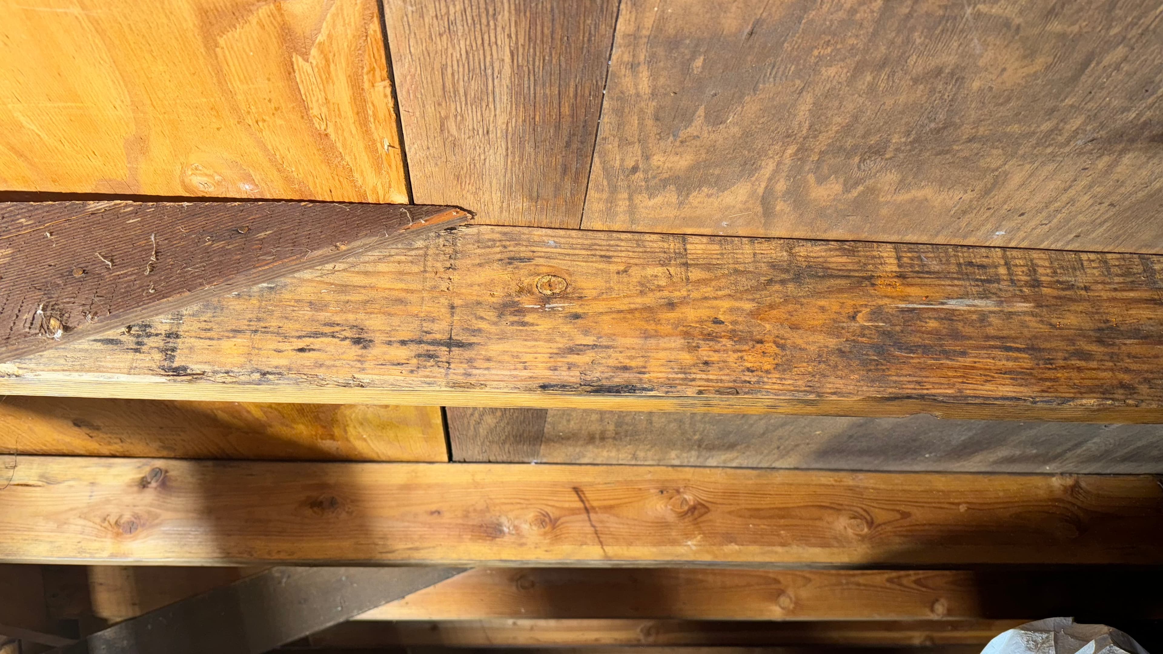 Before: Attic rafter with dark mold staining removed — natural wood grain restored beneath roof sheathing
