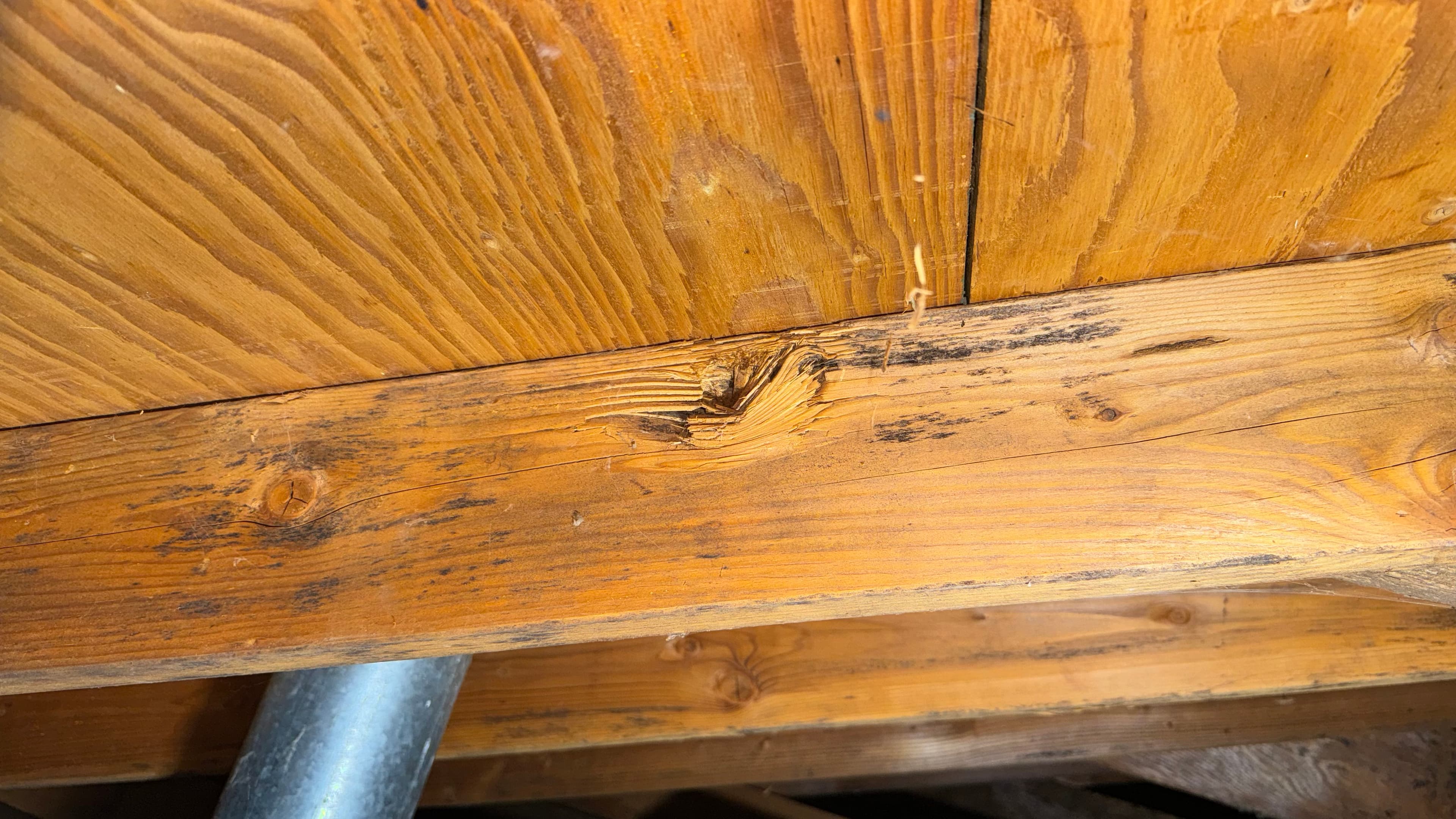 Before: Mold growth around attic joist near metal pipe penetration — cleaned and treated