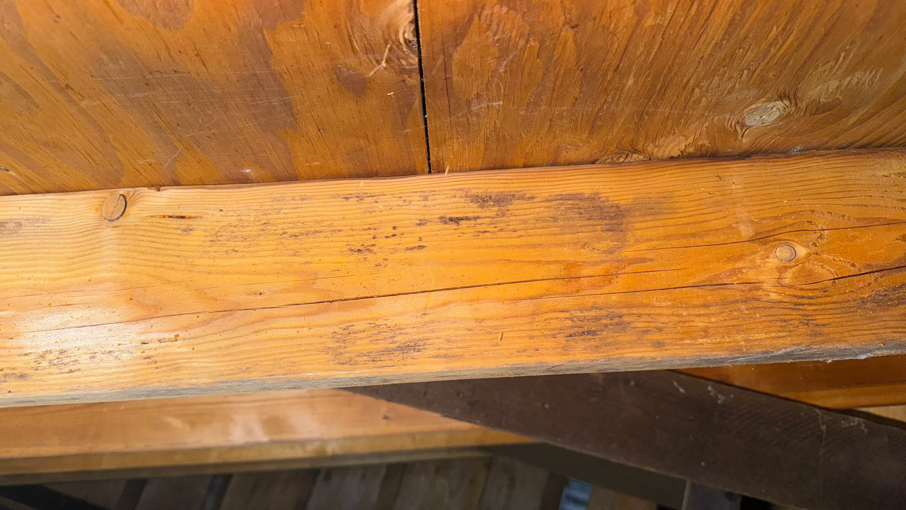 Before: Dark mold patches on attic rafter eliminated — warm, clean wood tone restored