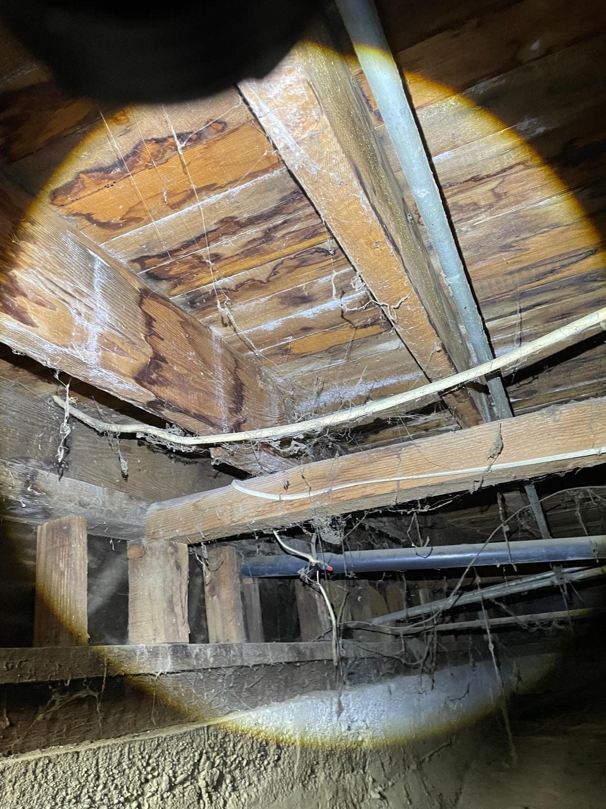 Crawlspace framing with prior moisture water intrusion and mold growth damage